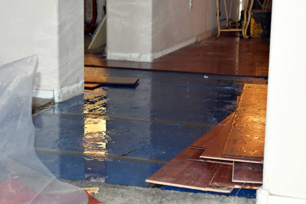 Professional Flood Cleanup technician working in Davin, WV